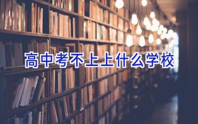 高中考不上上什么学校插图
