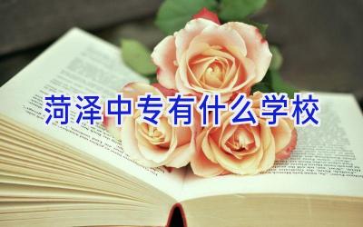 菏泽中专有什么学校插图