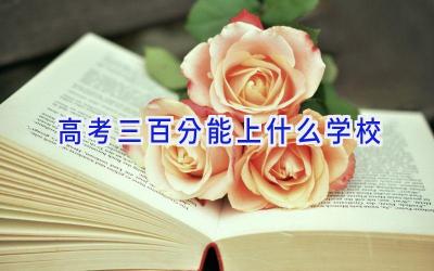 高考三百分能上什么学校插图