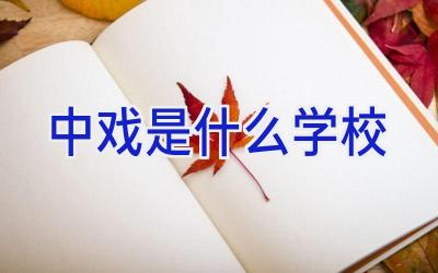 中戏是什么学校