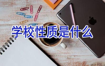 学校性质是什么插图