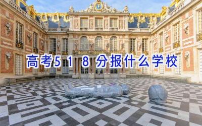 高考518分报什么学校插图