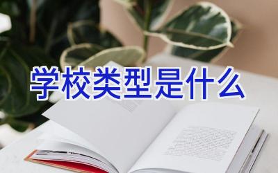 学校类型是什么插图