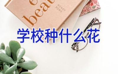 学校种什么花插图