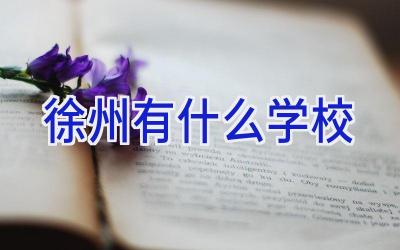 徐州有什么学校插图