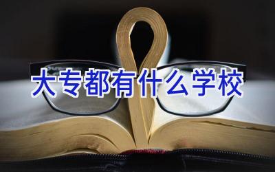 大专都有什么学校插图