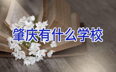 肇庆有什么学校插图
