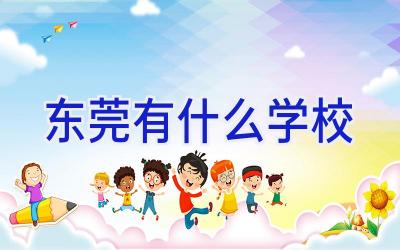 东莞有什么学校插图