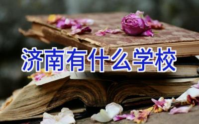 济南有什么学校插图