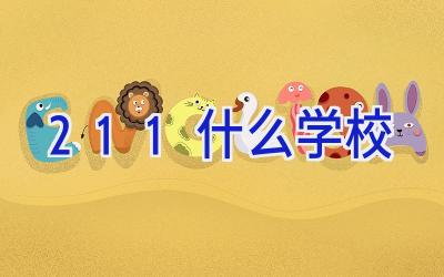 211什么学校插图
