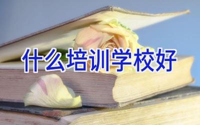 什么培训学校好插图