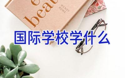 国际学校学什么插图