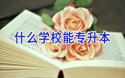 什么学校能专升本插图