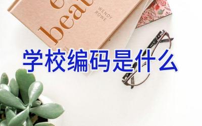 学校编码是什么插图