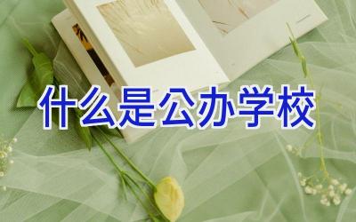 什么是公办学校插图