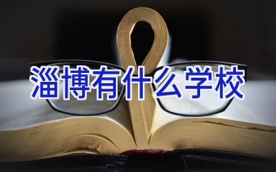 淄博有什么学校插图