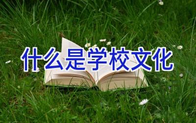 什么是学校文化插图