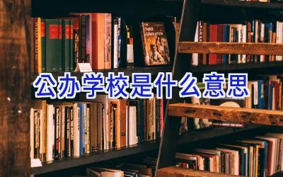 公办学校是什么意思插图