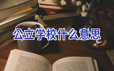 公立学校什么意思插图