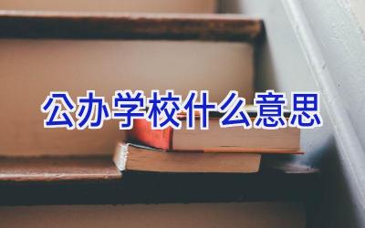公办学校什么意思插图