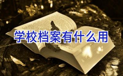 学校档案有什么用插图