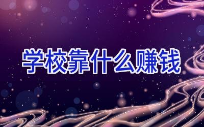 学校靠什么赚钱插图