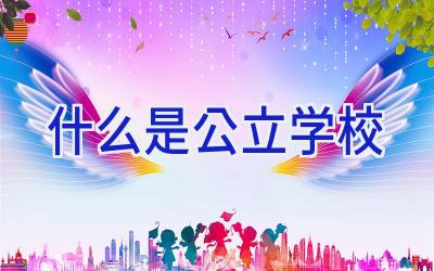 什么是公立学校插图
