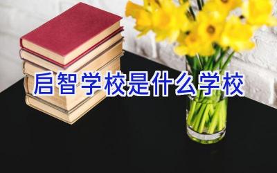 启智学校是什么学校插图