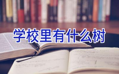 学校里有什么树插图