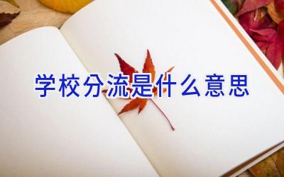 学校分流是什么意思插图