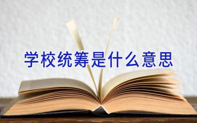 学校统筹是什么意思插图