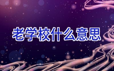 老学校什么意思插图