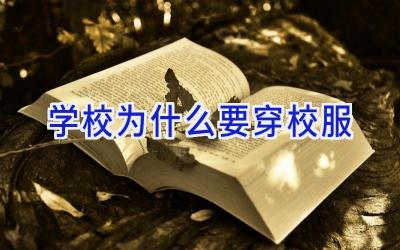 学校为什么要穿校服插图