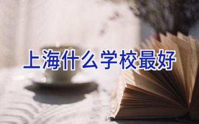 上海什么学校最好插图