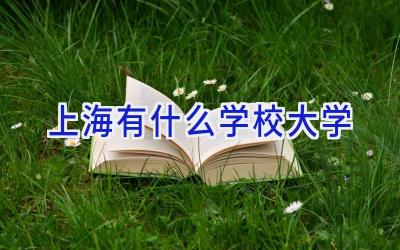 上海有什么学校大学插图