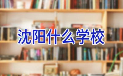 沈阳什么学校插图