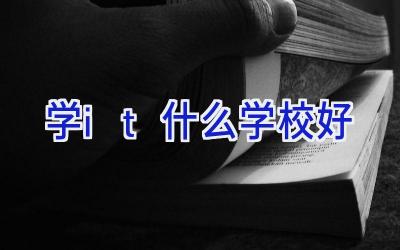 学it什么学校好插图