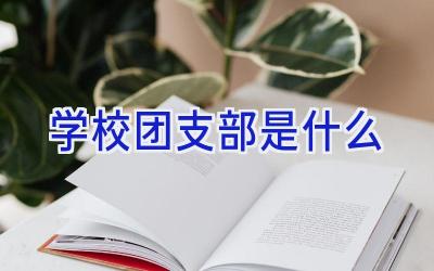 学校团支部是什么插图