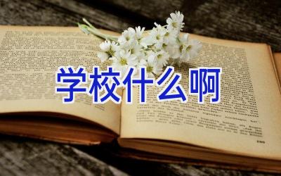 学校什么啊插图