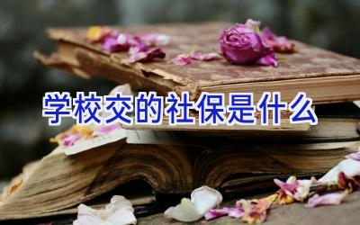 学校交的社保是什么插图