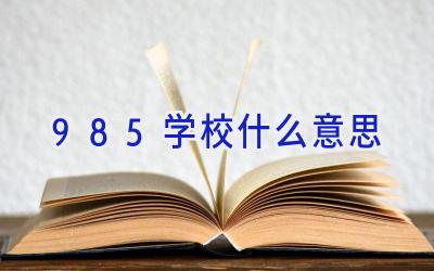 985学校什么意思插图