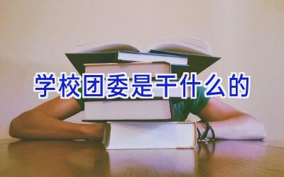学校团委是干什么的插图