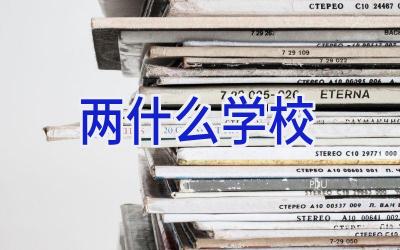 两什么学校插图