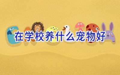 在学校养什么宠物好插图