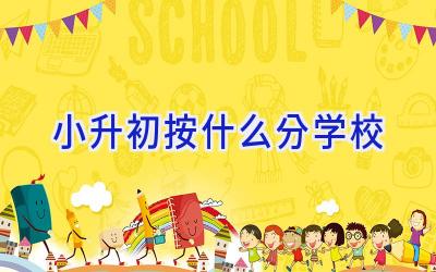 小升初按什么分学校插图