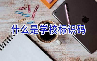什么是学校标识码插图