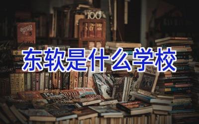 东软是什么学校插图