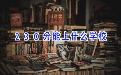 230分能上什么学校插图