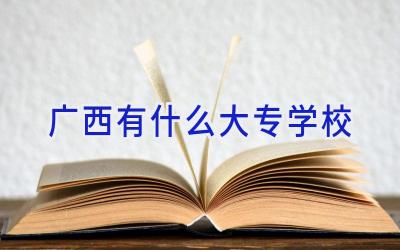 广西有什么大专学校插图