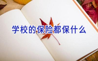 学校的保险都保什么插图